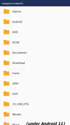 JS USB OTG screenshot