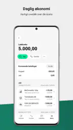 Jyske Bank screenshot