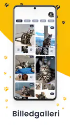 Kæledyr Veterinary Hund Kat Ap screenshot