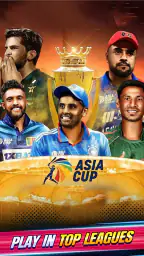 King Of Cricket Games screenshot