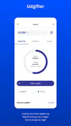 Lommebudget - styr på pengene screenshot