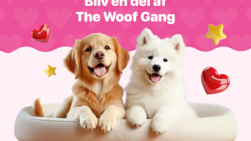 Menneske-til-hund-oversætter screenshot
