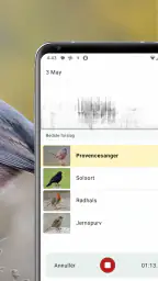 Merlin Bird ID af Cornell Lab screenshot