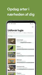 Merlin Bird ID af Cornell Lab screenshot