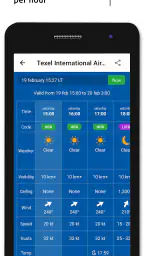 Metar-Taf - Visual decoder screenshot
