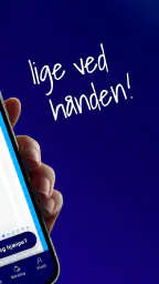 Mit Flexii screenshot