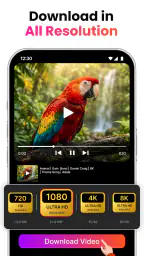 MP4 Videos Downloader 3X 1080p screenshot