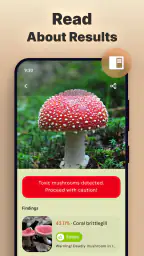 Mushroomizer screenshot