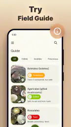 Mushroomizer screenshot