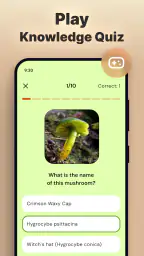 Mushroomizer screenshot
