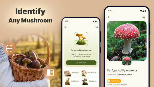 Mushroomizer screenshot