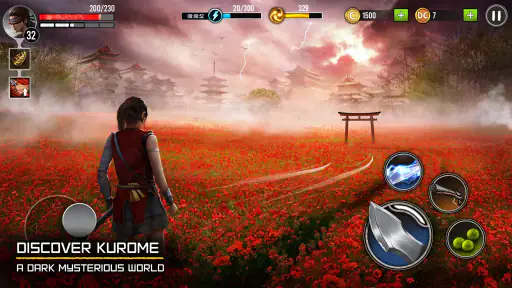 Ninja Ryuko: Shadow Ninja Game screenshot