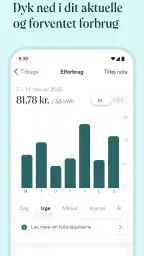 Norlys - Elforbrug og skærmtid screenshot