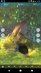 nPlayer screenshot