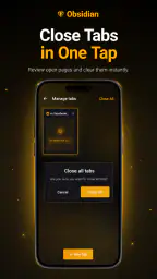 Obsidian: Private Browser screenshot