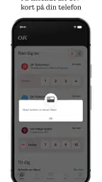 OK Tank og Betal – Erhverv screenshot