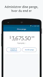 PayPal Business screenshot