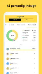 Pengeforvalter–Budget,Udgifter screenshot
