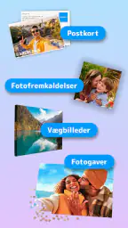 Pixum fotobog, postkort & mere screenshot