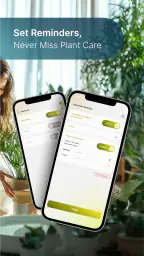 Plant Care - AI Identifier screenshot