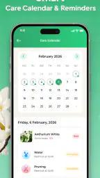Plant Identifier: LeafSnap screenshot