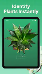 Plant Identifier: LeafSnap screenshot