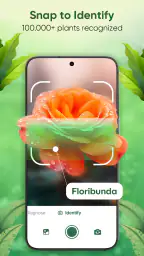 Plant Identifier - Scan & Care screenshot