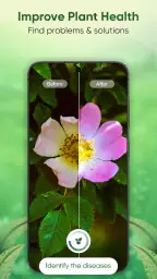 Plant Identifier - Scan & Care screenshot