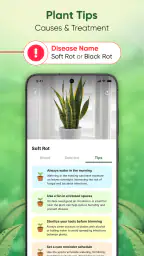 Plant Identifier - Scan & Care screenshot