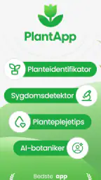 PlantApp – Planteguide screenshot