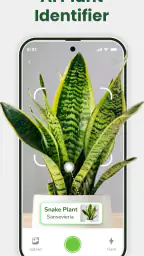 Planteidentifikator screenshot