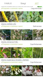 PlantNet Plante Identificering screenshot