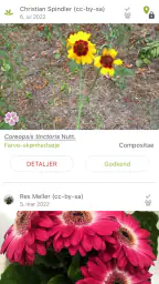 PlantNet Plante Identificering screenshot