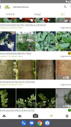 PlantNet Plante Identificering screenshot