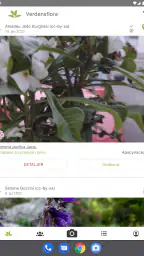 PlantNet Plante Identificering screenshot