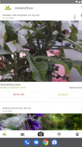 PlantNet Plante Identificering screenshot