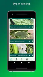 PlantSnap screenshot