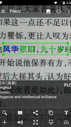 Pleco Chinese Dictionary screenshot