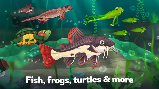 Pondlife — Fish, Frogs & More! screenshot