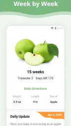 Pregnancy App screenshot