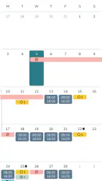 Quinyx Mobile screenshot
