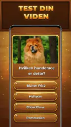 Quiz-Træet: Trivia Blocks screenshot