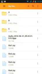 Rapidgator.net Filbehandler screenshot