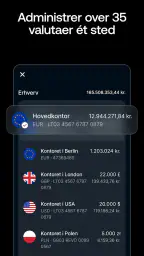Revolut Business screenshot