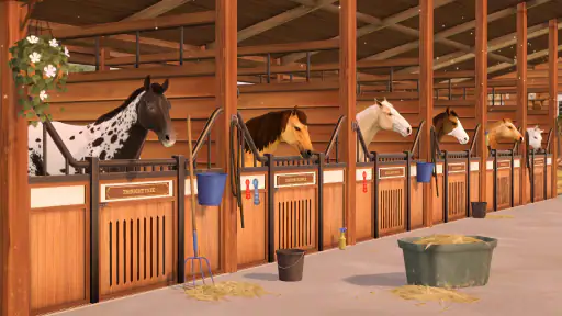 Rival Stars Hestevæddeløb screenshot