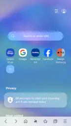 Samsung Internet Browser screenshot