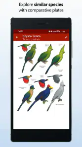 Sasol eBirds Southern Africa screenshot