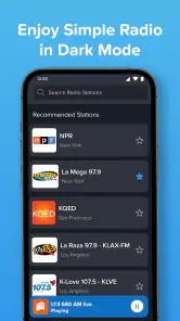 Simple Radio - Live AM/FM screenshot