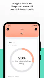 Skatteguiden screenshot