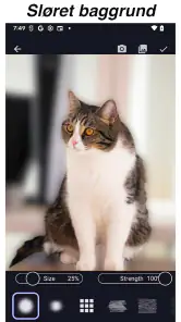 Sløring af Fotos & Mosaik screenshot